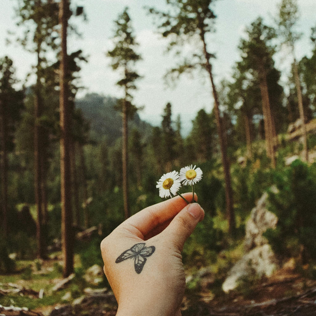 Tatoveringer til nye begyndelser: 4 symbolske designs